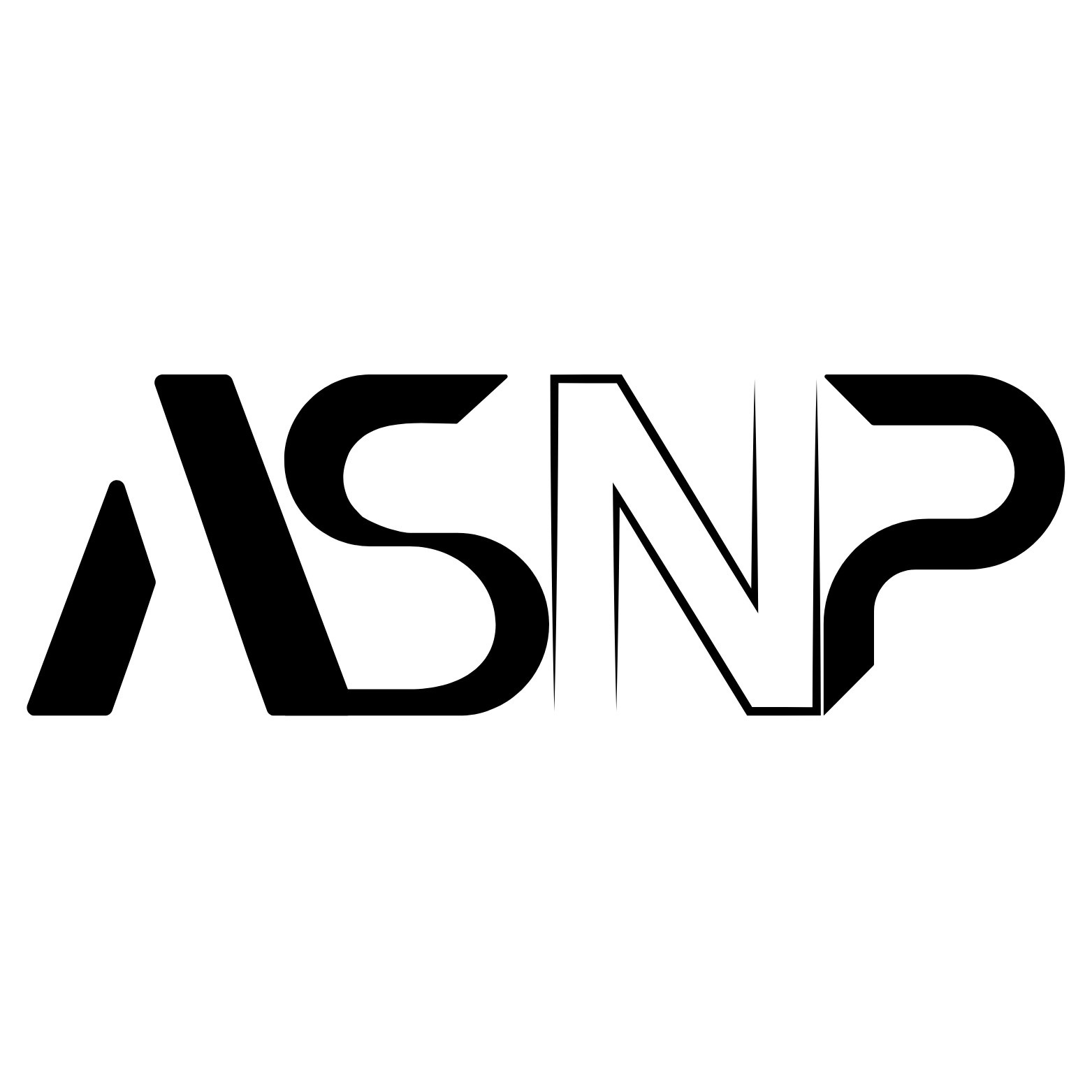 ASNP - AI and automation solutions provider
